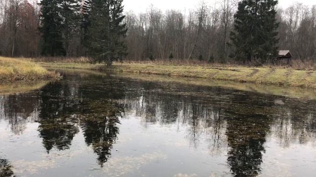 Так поёт молодой лёд смотреть онлайн