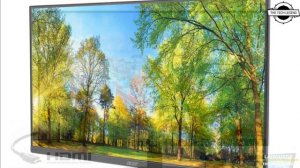 Acer EK271Hbi" And "EK241YHbi Full HD 100Hz Monitor Launched -Price €135 | All Spec, Features & Mor