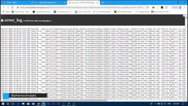 How to fix HTTP ERROR 500 - This page isn't working for WordPress | Phenomenal Concepts смотреть онлайн