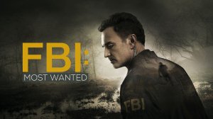 ФБР: Самые разыскиваемые преступники (сериал 2020 – 2022, 3 сезона)