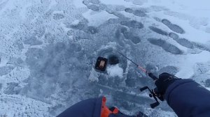 ПЕРВЫЙ ЛЁД 2022! ПЕРВЫЕ УДАРЫ СУДАКА  Эхолот Практик 6м в помощь