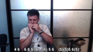 My Way Фрэнка Синатры на губной гармошке