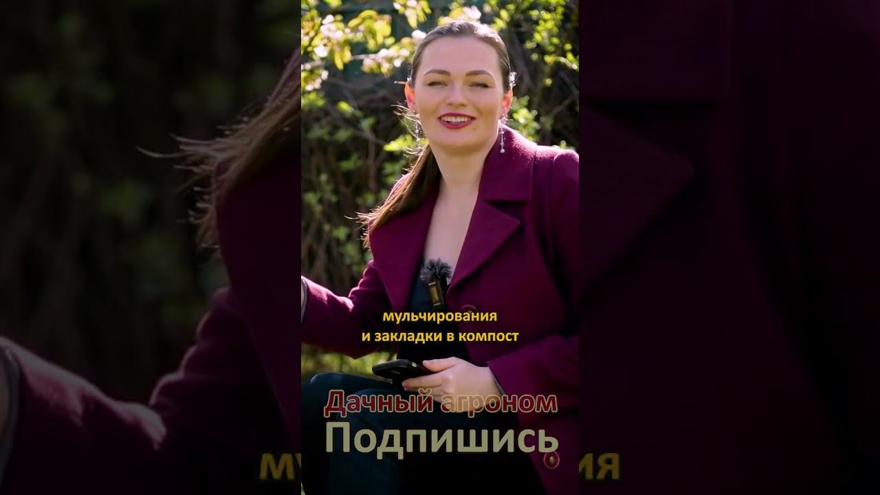 Упаковками покупаем петунии ВОТ почему ПОСТОЯННЫЕ ГРЯДКИ так ПОПУЛЯРНЫ Дачный агроном