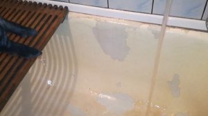 Мини пиг 23 день жизни! Все плюсы и минусы мини пига! Как и чем правильно мыть мини пига! Хрюкает))