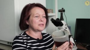 Мёд с кедровыми орешками и боярышниковый   что показала экспертиза