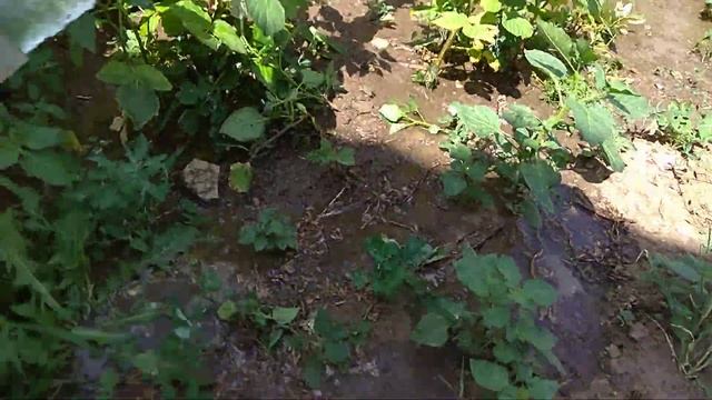 Насос фикальный , пробы смотреть онлайн