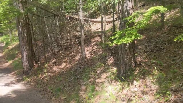 A Visit to Victoria Park - Truro смотреть онлайн