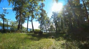 Дикарями на оз.Инголь. 2022г. 1 часть