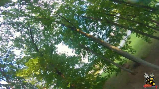 Wild Willy Dolphin 1 Proximity смотреть онлайн