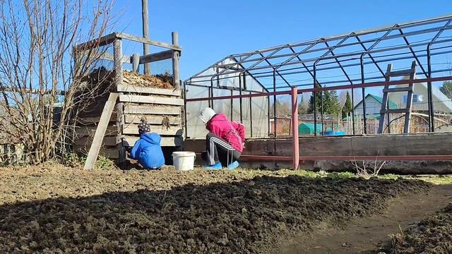 Весенние работы в саду / 6 соток / дача / Огурцы 23.04 #дача #огород #влог #апрель #теплица смотреть онлайн
