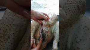 Потрошение индюка