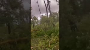 Торнадо вблизи деревни Заречье-1 Минского района Беларуси, 22 июля 2023 смерч в беларуси.жесть
