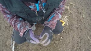 Удел Дмитрия Донского  Как искать монеты на поле.mp4