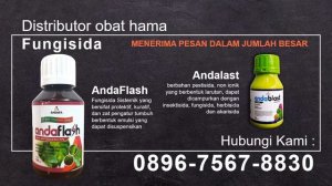 Distributor obat hama Fungisida di Bogor