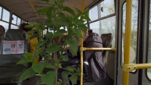 Хроника в городе. Конец апреля 2024 года.