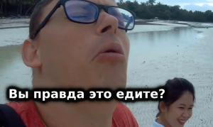 Что филиппинцы добывают прямо из морского белого песка на пляже и едят без обработки?