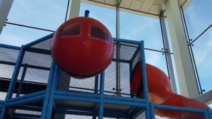 Покемон на Прогулке в Магазине Pikachu