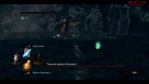 Dark Souls PtDE Прохождение магом – Серия 41 – Каламит, огромный и беспощадный!