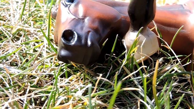 |.:CAMERA TEST:.| Nikon Coolpix P600 | *RoseWood/WhisperWood* смотреть онлайн