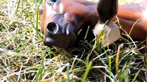 |.:CAMERA TEST:.| Nikon Coolpix P600 | *RoseWood/WhisperWood*