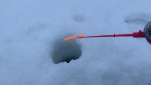 Рыбачу на БАЛДУ в глухозимье!!!