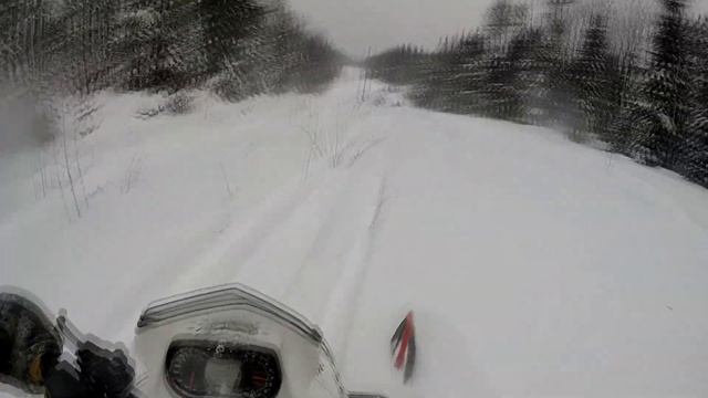 SKI-DOO RENEGADE 800 FUN DEEP POWDER AND WHEELIES! смотреть онлайн