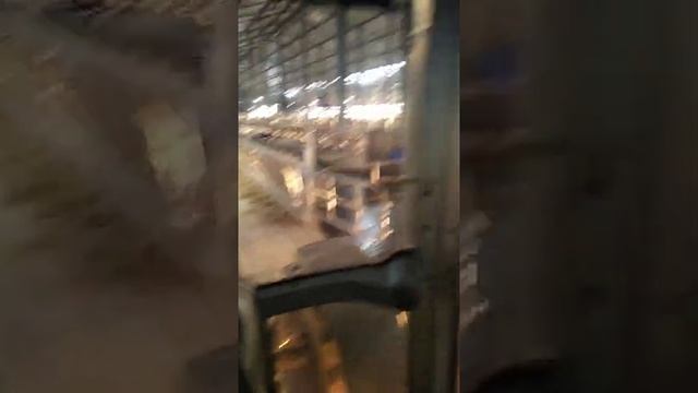 Современные , молочные Фермы России ! 45 тонн молока в сутки !
