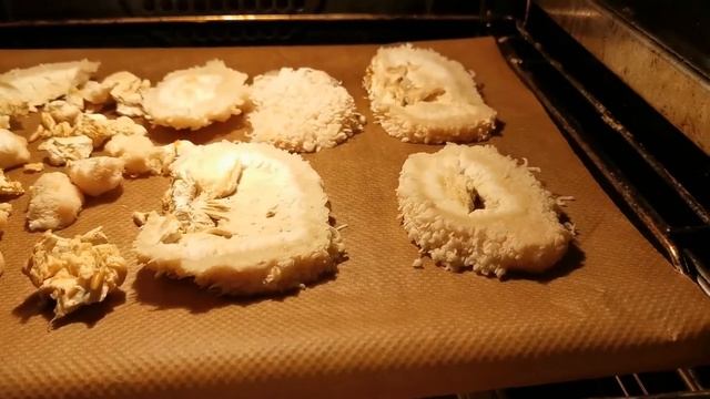 17. Первый сбор ежовика ( ежевика ) гребенчатого с домашней грибнице.