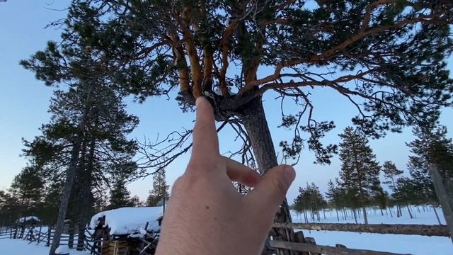 Обзор баньки на стойбище смотреть онлайн