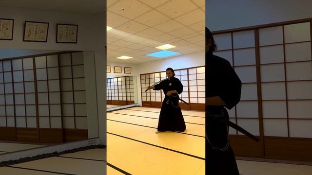 Mugai Ryu - Kihon Ich application