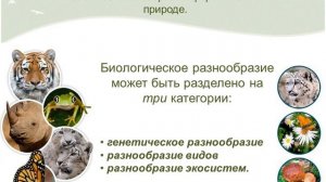 Изменение генофонда популяций