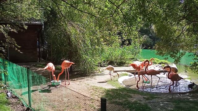 Новосибирский Зоопарк