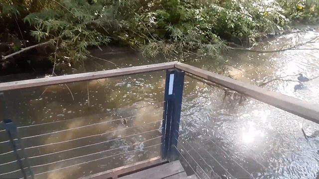 ВЛОГ. Немного дачного и Московских будней/Прогулка вдоль речки и офисная работа) смотреть онлайн