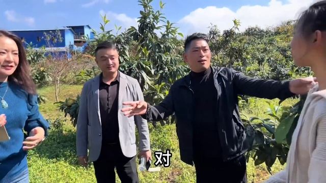 带着慧姐和重庆妹子摘枇杷！骑车路上出意外，慧姐心脏病都直接犯了！【阿龙游四方】 смотреть онлайн