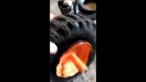 Бескамерка на снегоуборщике своими руками