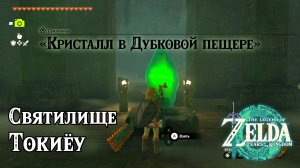 90 - Святилище Токиёу. The Legend of Zelda Tears of the Kingdom. Tokiy Shrine. Nintendo Switch
