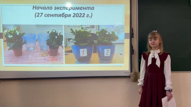 Проект "Как слова влияют на рост растений?", Михеева Ольга, 1Б, ГБОУ гимназия №642