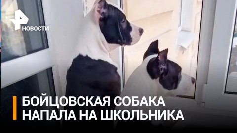 Соседи требуют разобраться с хозяйкой агрессивного пса в Нижнем Тагиле / РЕН Новости