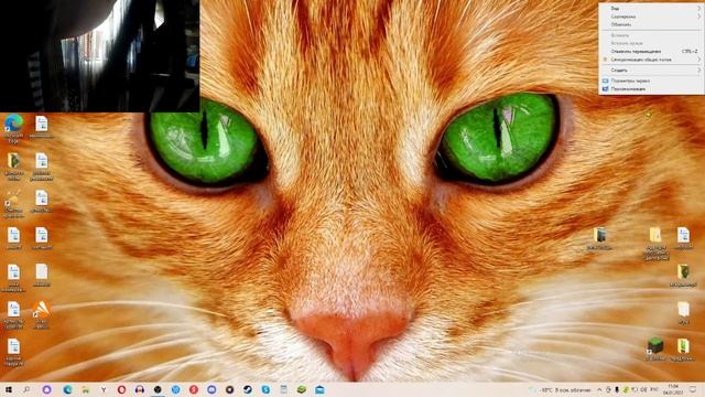 Обзор на веб камеру смотреть онлайн