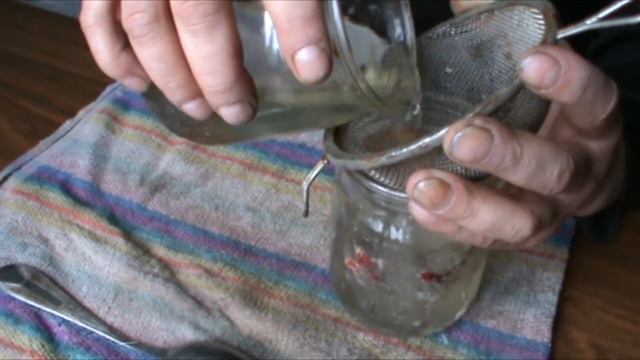 Отбор семян перед посадкой смотреть онлайн