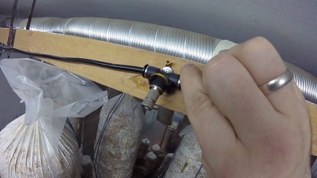 Форсунки для увлажнения помещения с грибами
