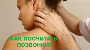 Как посчитать позвонки?