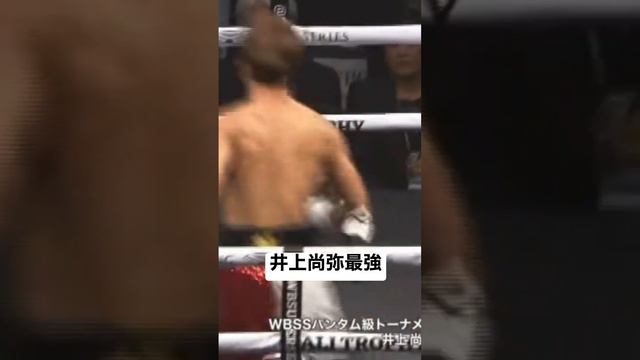 井上尚弥naoya inoue　マロニーナルバエスパヤノドネア