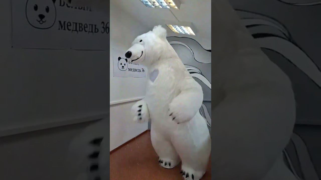 Ещё один красавчик уехал к своему заказчику #белыймишка #белыймедведь