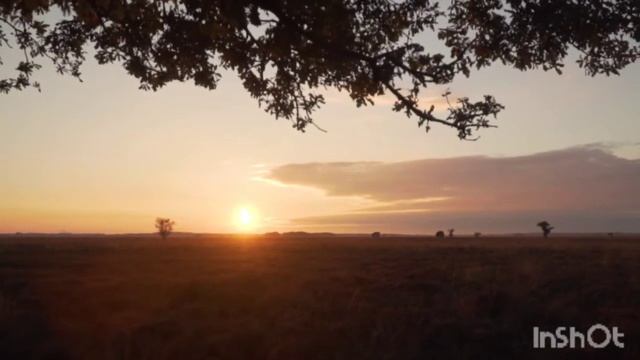 Музыка Для Сна. Прекрасная музыка с велеколепными закатами солнца. #музыка #сон #релакс смотреть онлайн