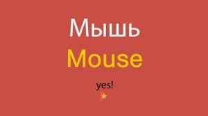 Мышь по-английски