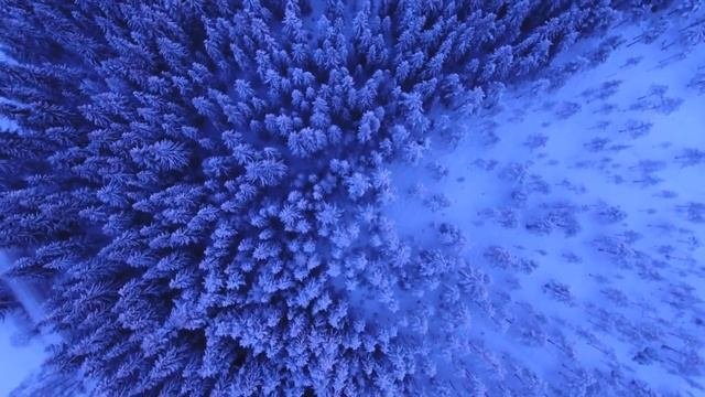 Жена любила ,но не мужа. Увлекательная история  /История из жизни/Любовные истории/Любовь/Рассказ
