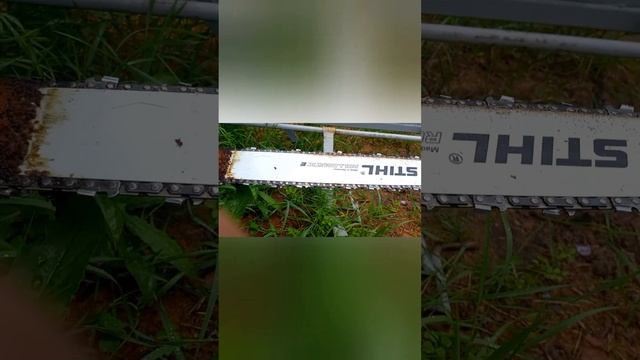 шинная пилорама подробно