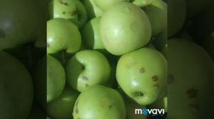 Потрясающий способ! Как хранить яблочную сушку в домашних условиях