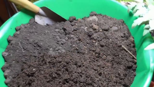 Пикировка томатов для проекта "Дети подземелья". Ольга Чернова. смотреть онлайн